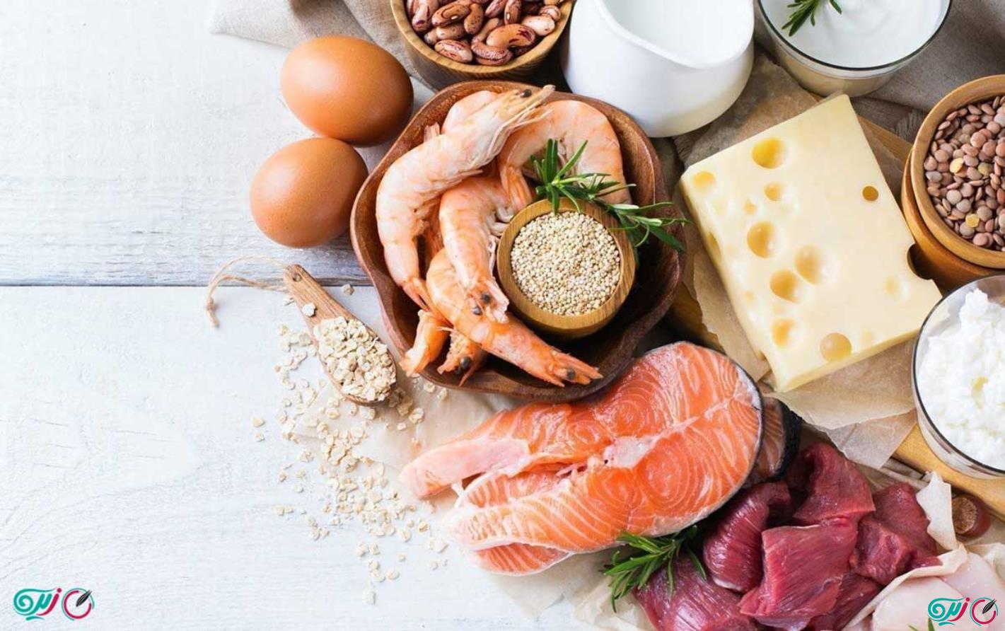 همه چیز درباره رژیم پروتئین | نمونه رژیم پروتئین