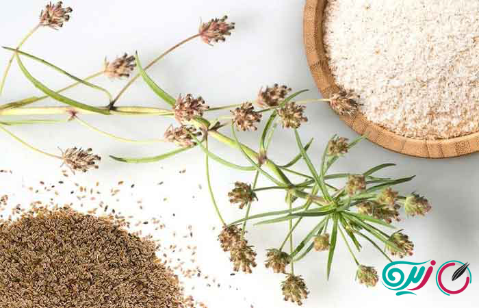 اسفرزه برای یبوست