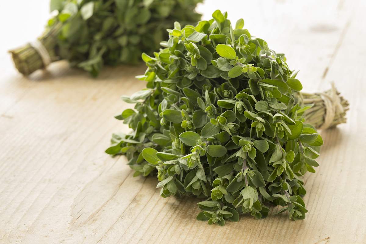 مرزنجوش برای خواب