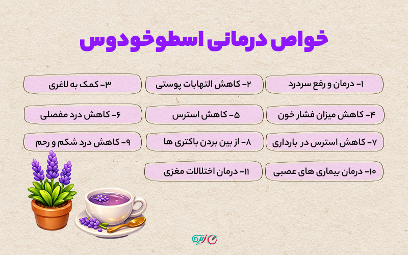 اسطوخودوس