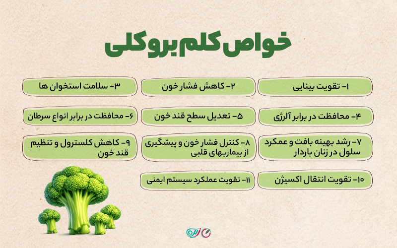 خواص کلم بروکلی