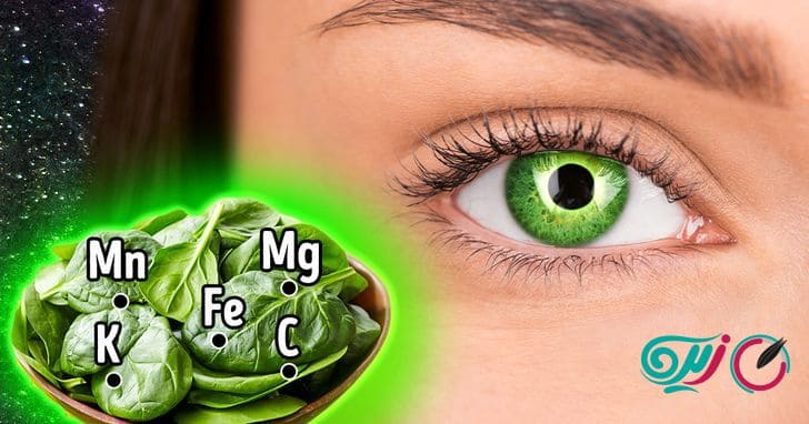 خواص اسفناج برای چشم