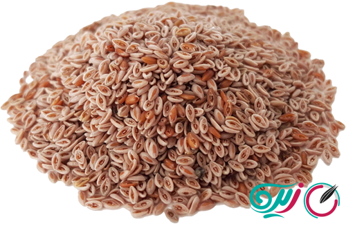 خواص اسفرزه