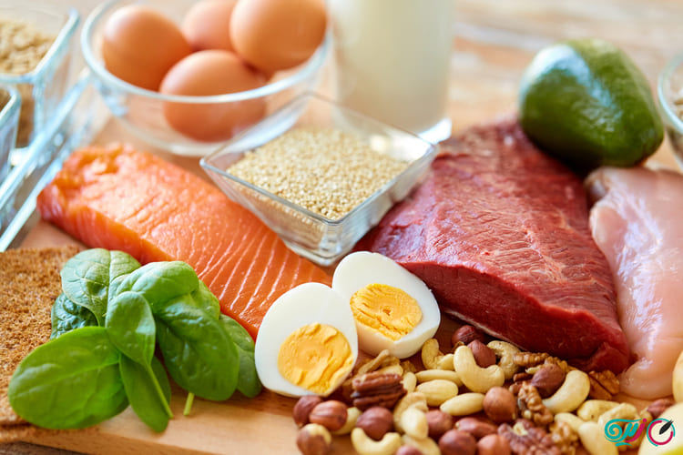 نقش پروتئین در رژیم