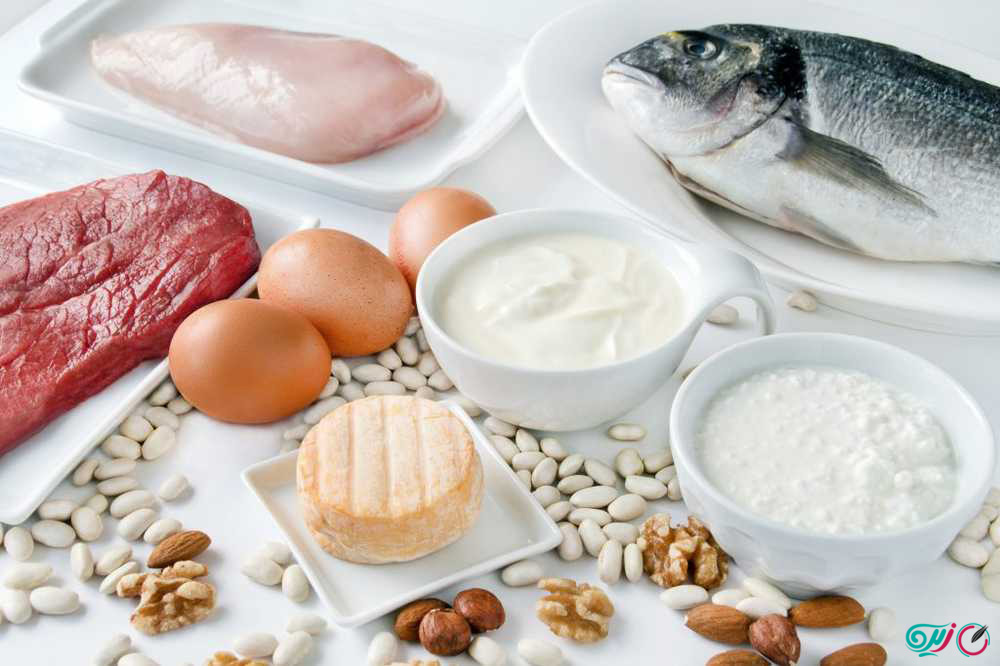 مواد غذایی پروتئین دار
